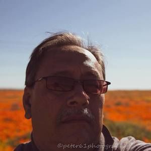 Meet your Posher, Peter